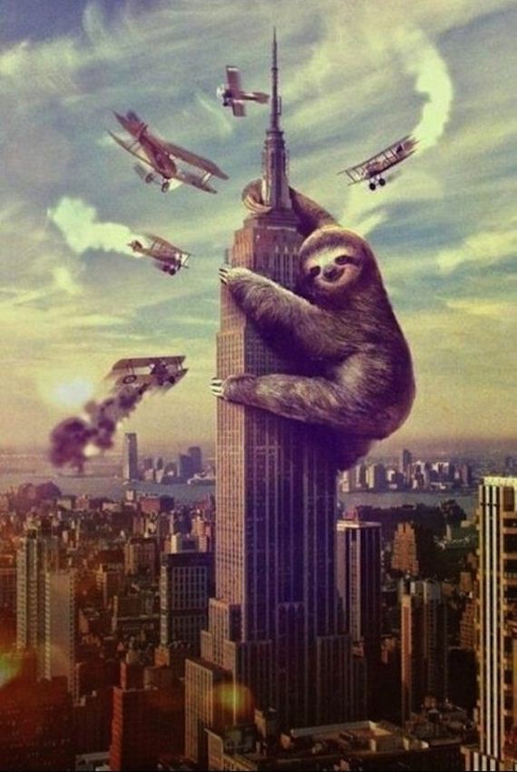 greatest-sloths-internet