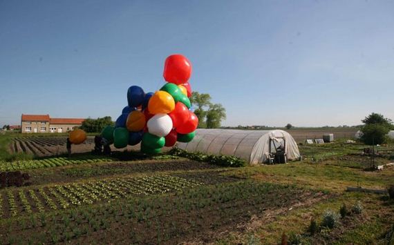 helium-balloons-flight