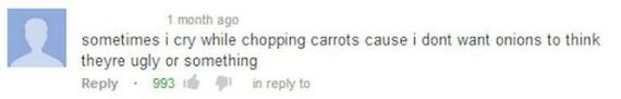 hilarious_and_ironic_comments_on_youtube-11