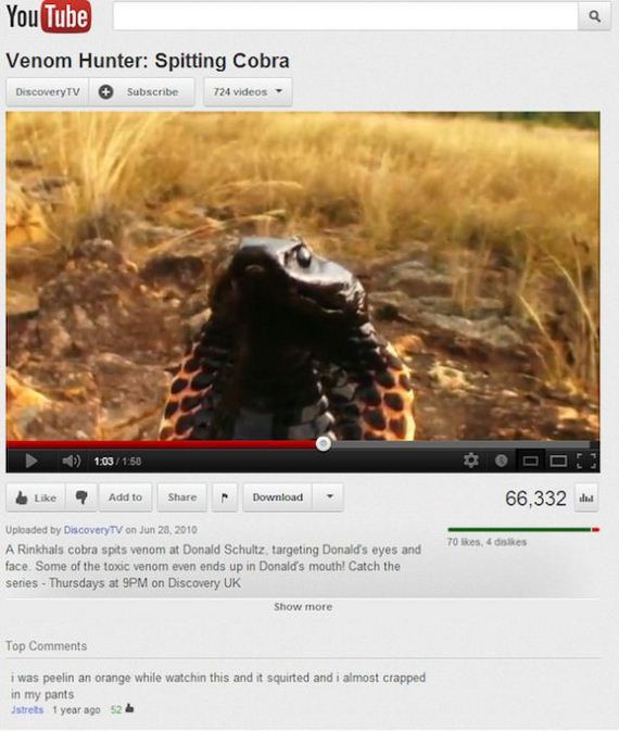 hilarious_and_ironic_comments_on_youtube-11