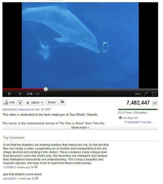 hilarious_and_ironic_comments_on_youtube-11