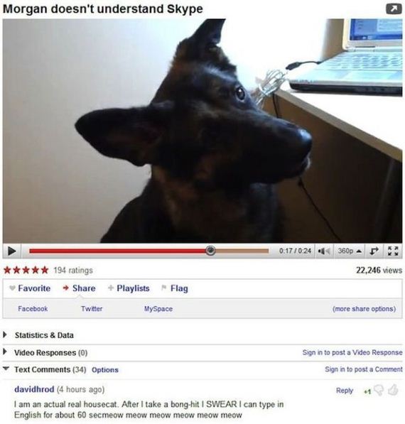 hilarious_and_ironic_comments_on_youtube-11