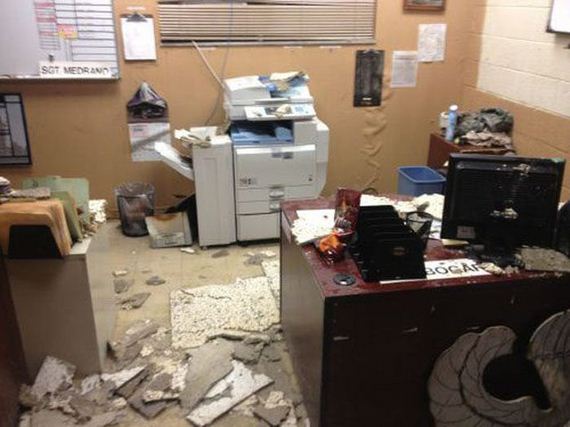 hilarious_work_totally_sucks_images