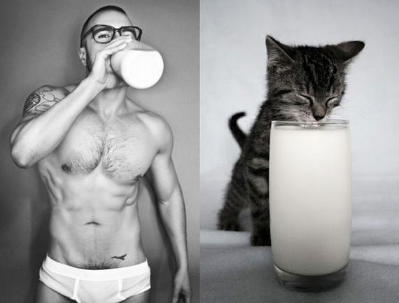 hot_men_and_their_feline_counterparts