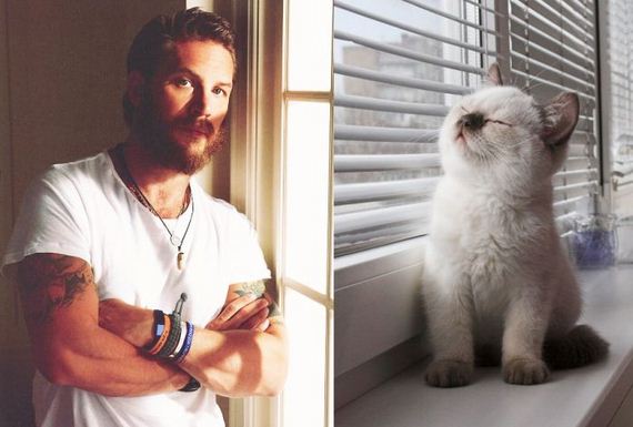 hot_men_and_their_feline_counterparts
