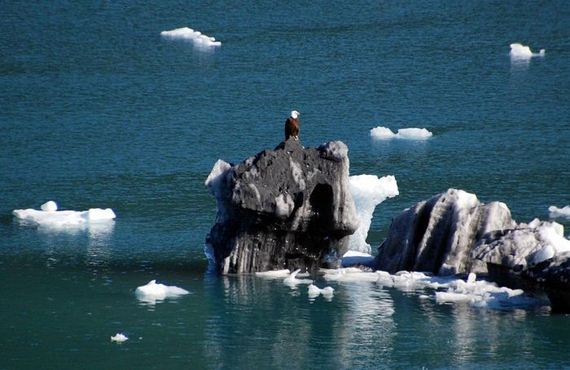 ice_beauty_09