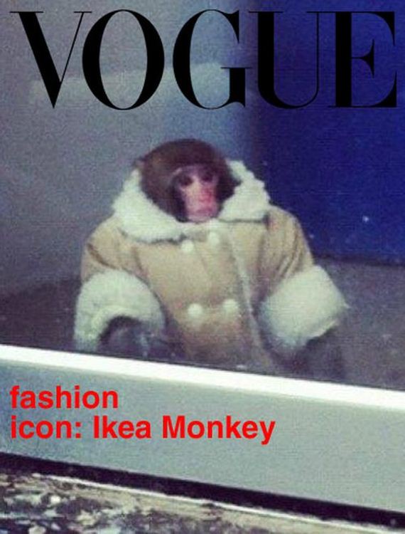ikea-monkey-meme-continues