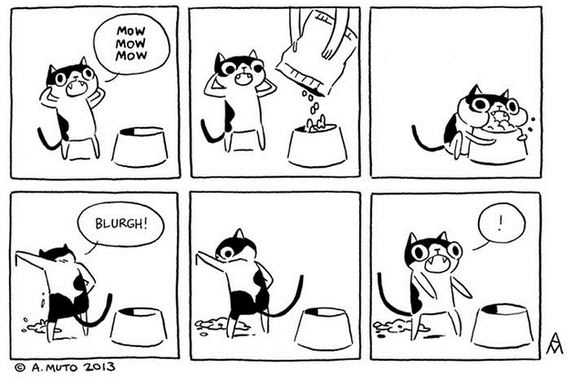illustrated_truths_about_cats
