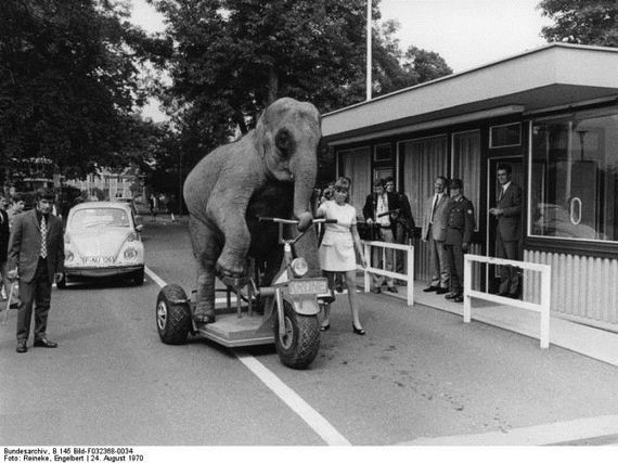 images-from-the-german-federal