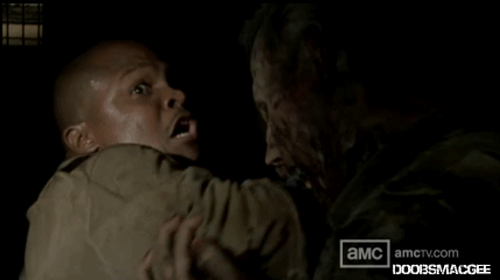 in-memory-of-the-best-character-on-the-walking