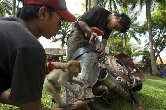 indonesians_ride_the_oddest_motorbikes_ever