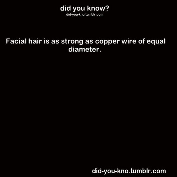 interesting-random-facts