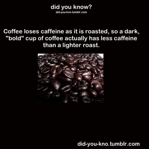 interesting-random-facts