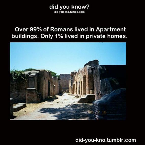 interesting-random-facts