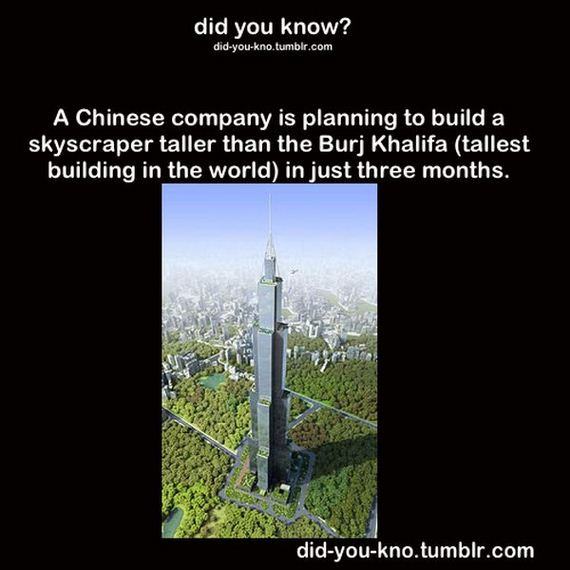 interesting-random-facts