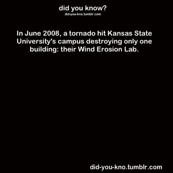 interesting-random-facts