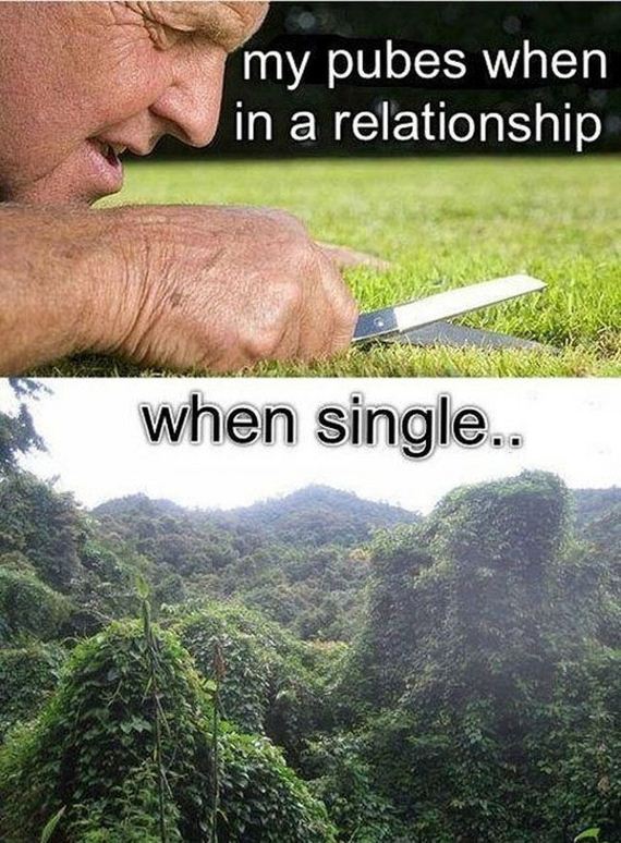 its_just_too_true