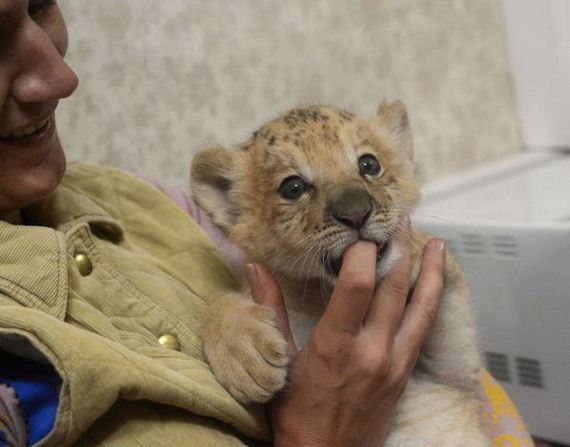 kiara-is-the-first-born-liliger-ever