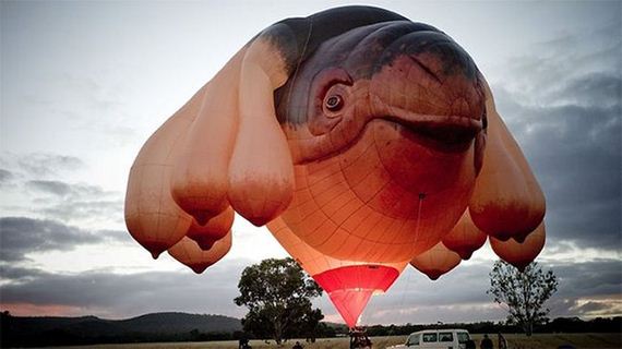 launch_of_the_skywhale