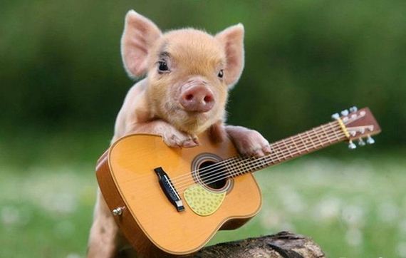 little-things