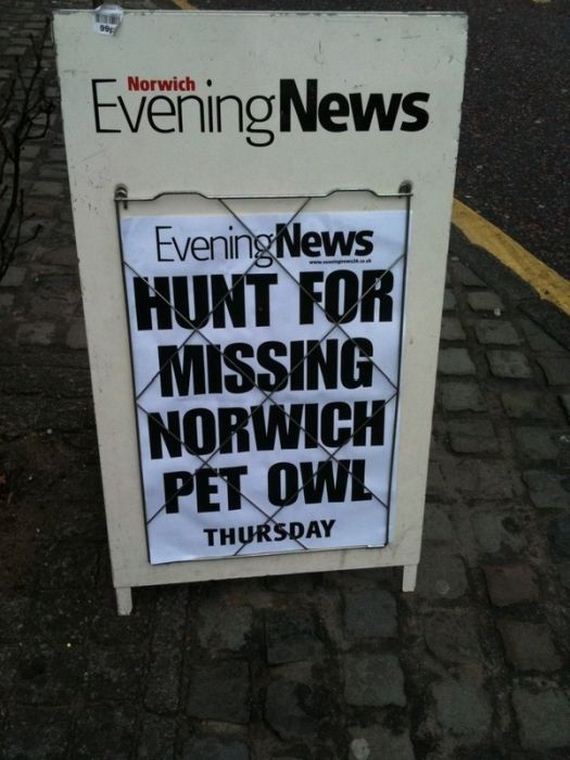 local_news_headlines