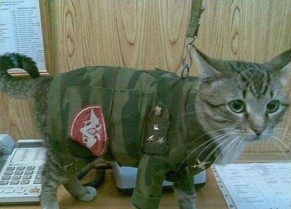 meanwhile_in_russia-2