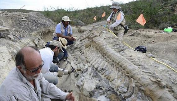 million_year_old_dinosaur_remains_discovered