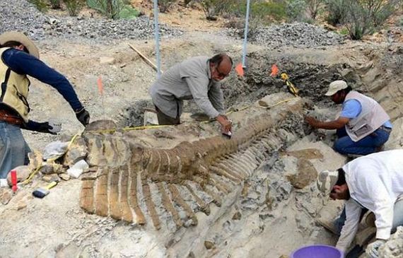 million_year_old_dinosaur_remains_discovered