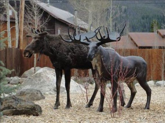 moose_statue