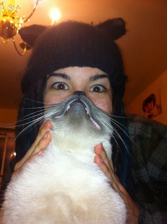 most_epic_cat_beards_of_all_time