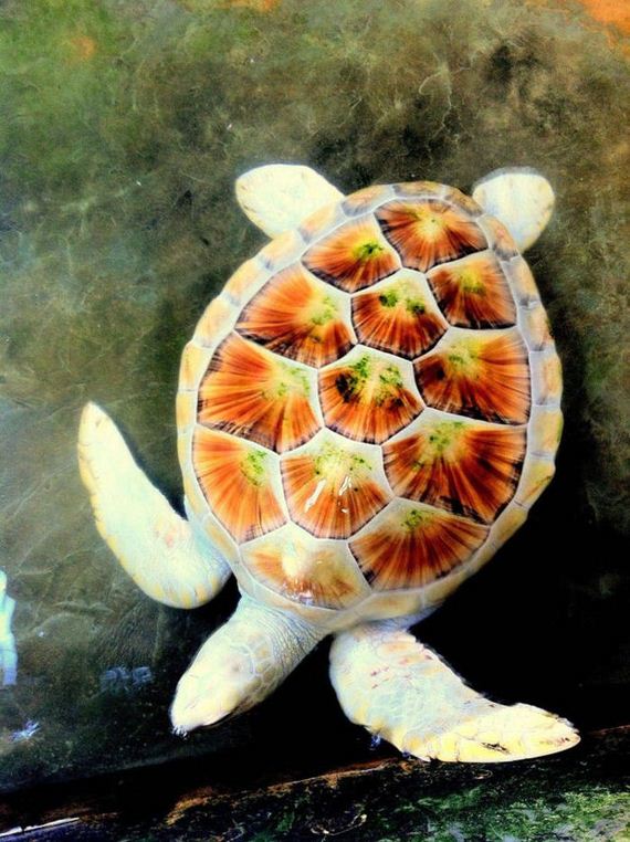 mother_nature_is_truly_magnificent