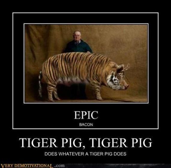 motivational-149