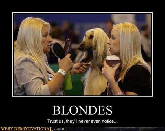 Мужчинам нравятся блондинки. Блондинки не тупые. Глупая блондинка. Приколы про блондинок. Шутки про блондинок.