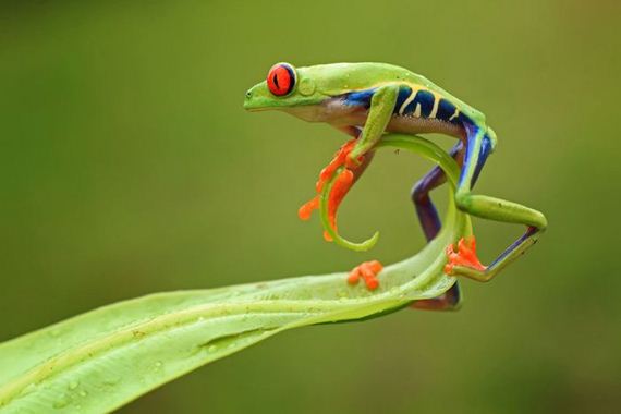national-geographic-photo-contest1