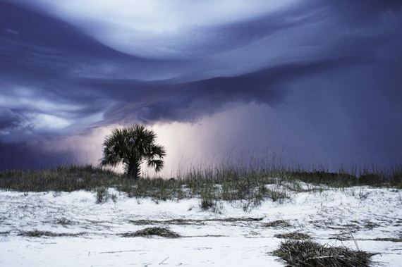 national-geographic-photo-contest1