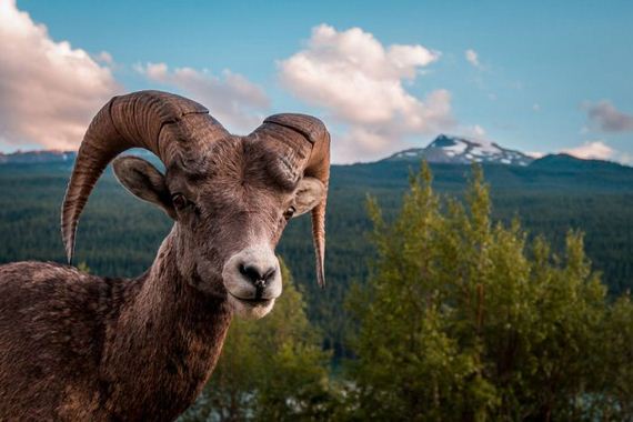 national-geographic-photo-contest1