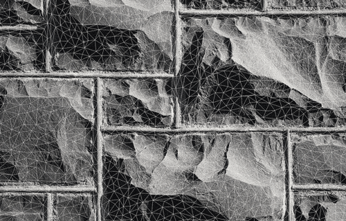 new_gifs