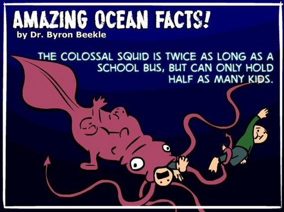 ocean_facts
