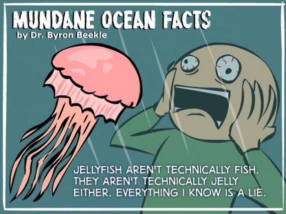 ocean_facts
