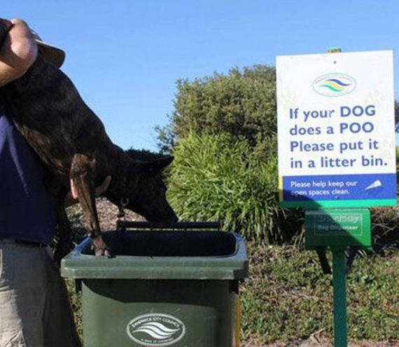 one-ore-picdump-for-today