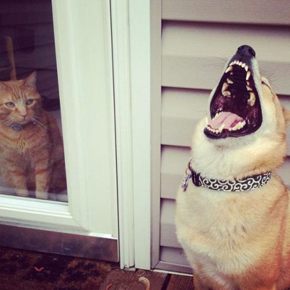 photobombs_32