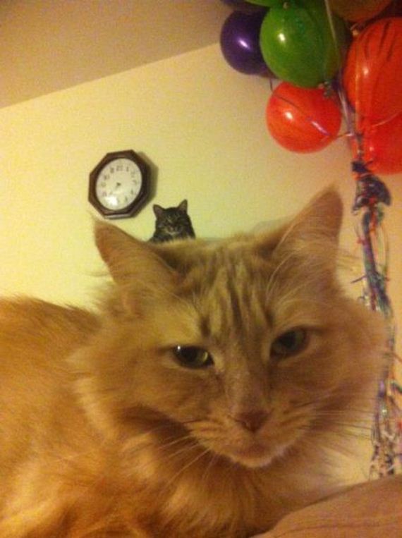 photobombs_32