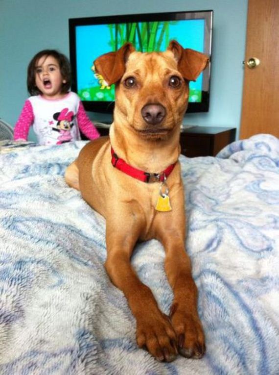 photobombs_32