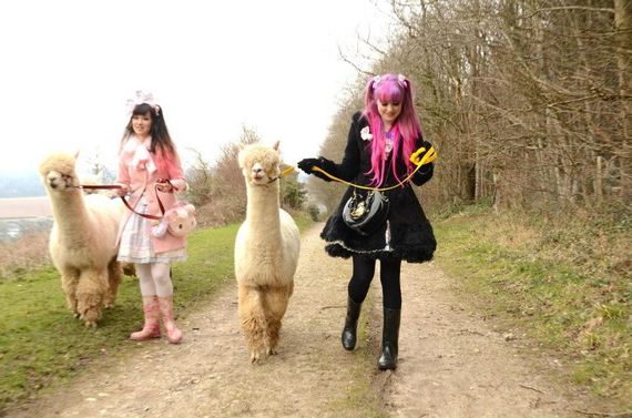 photos-lolita-girls-alpaca-farm