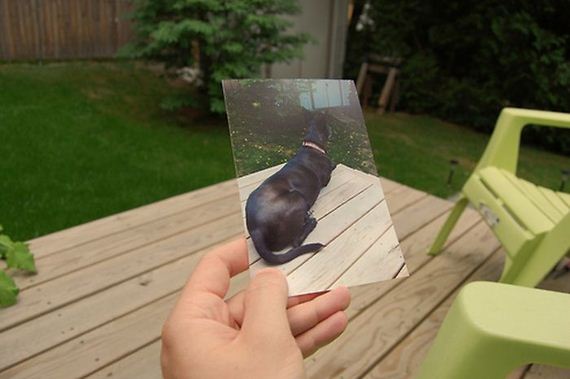 photos-meet-reality