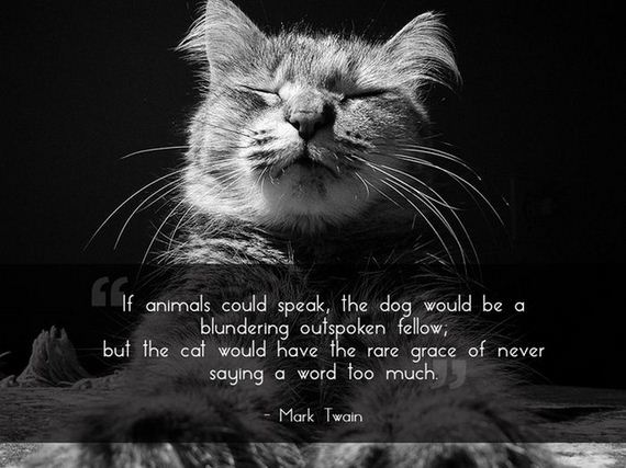Great Quotes About Pets - Barnorama