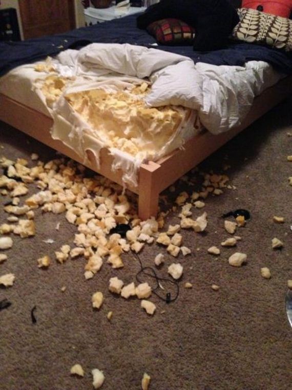 random-fails