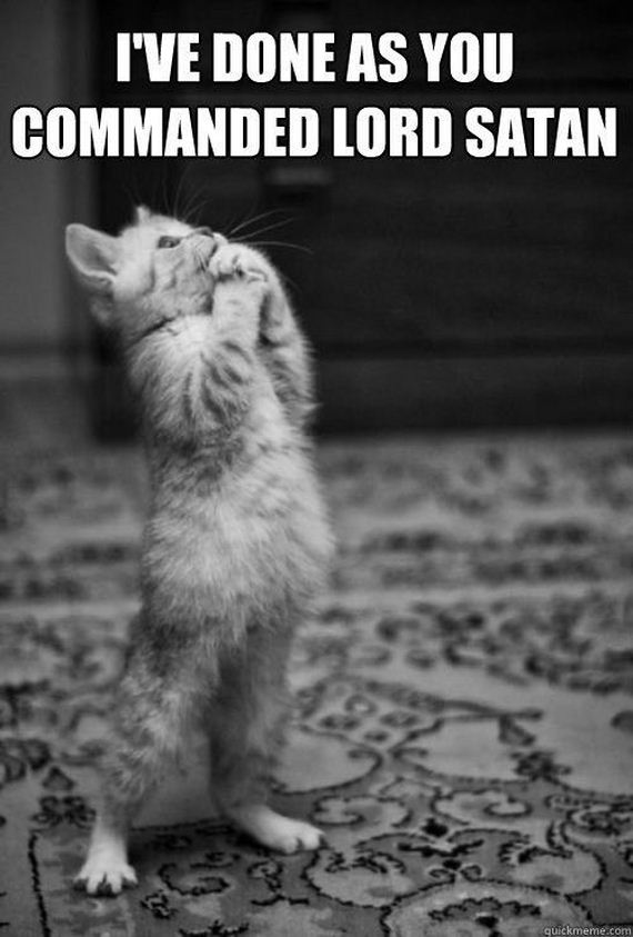 random-funny-pictures