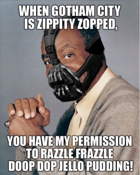 random-funny-pictures