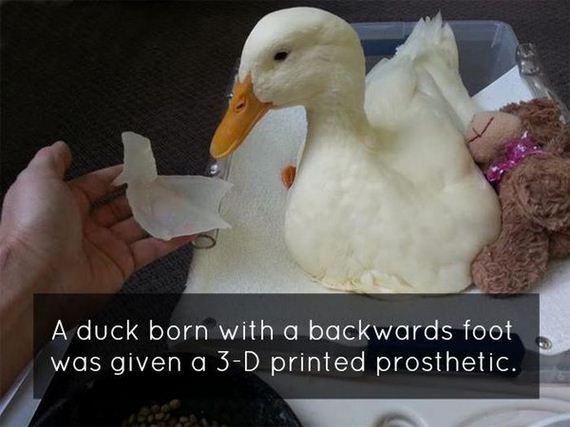 science_is_awesome